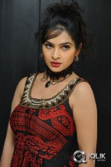 Madhumitha at Maine Pyar Kiya Movie Success Meet